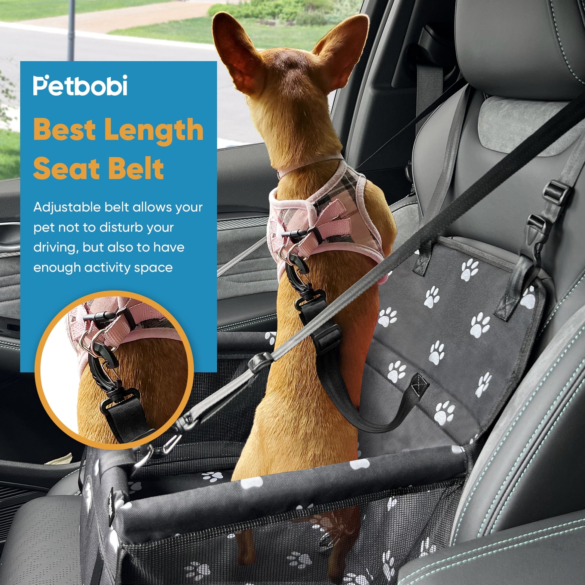 Dog Car Booster Seat Travel Carrier for Dog Cat Portable Travel Bag with Seat Belt Safety Stable for Travel Pet Car Seat with Clip on Leash and Storage Package