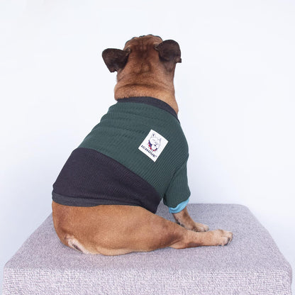 Pet Dog Crewneck Sweater Color Block Pullover Winter Warm Clothes for French Bulldog Frenchie Pug Puppy - Green and Black/Small